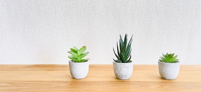 鉢を陶器で統一する