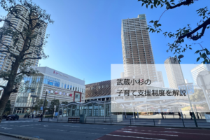 武蔵小杉 住みやすさ