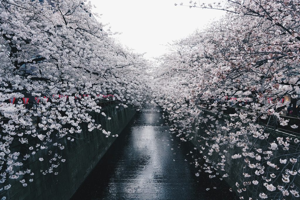目黒川